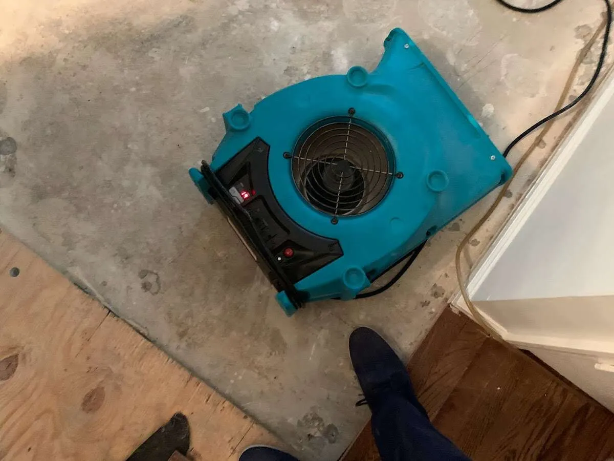 Air mover drying subfloor during Commercial Water Damage Restoration in Elwood
